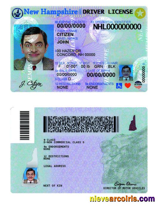 USA New Hampshire driving license